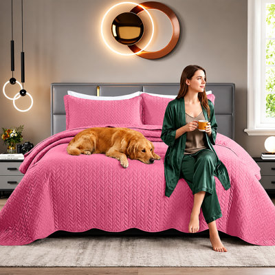 Embossed Microfiber Quilt Coverlet Set