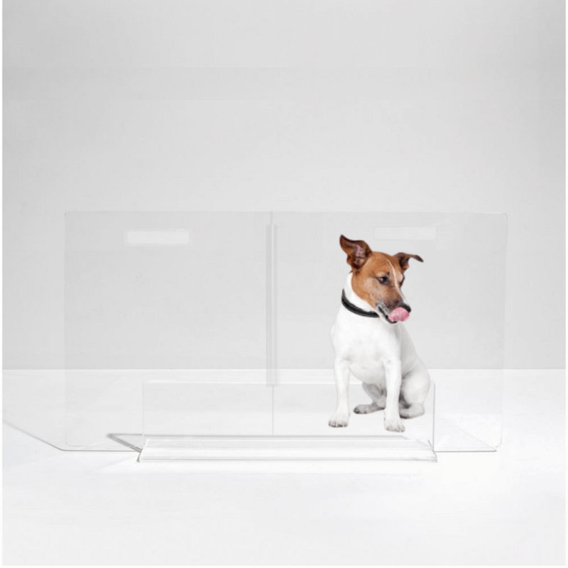Low View Panel Freestanding Pet Gate, 24” H x 36" W