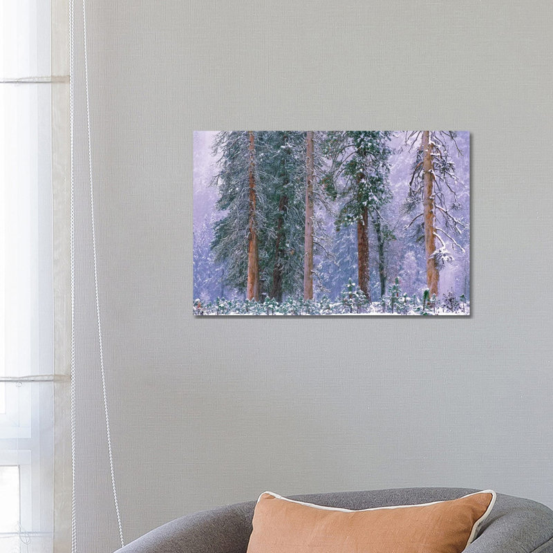 Winter in Yosemite National Park, California 1 Piece Wrapped Canvas Painting, 66.04 cm H x 45.72 cm W x 1.91 cm D