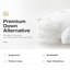 Coussin Cragmont-2050354521