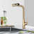 Brushed Gold is out of stock selected