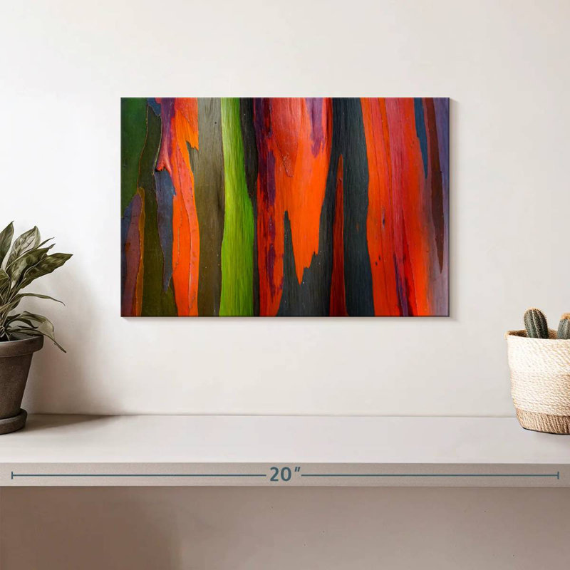 Avery Rainbow Eucalyptus Bark Closeup, 8" H x 12" W