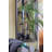 Wood Framed Mirror with Safety Backing Ideal for Bathroom / Vanity Mirror Ellis Collection-461758312-461758334
