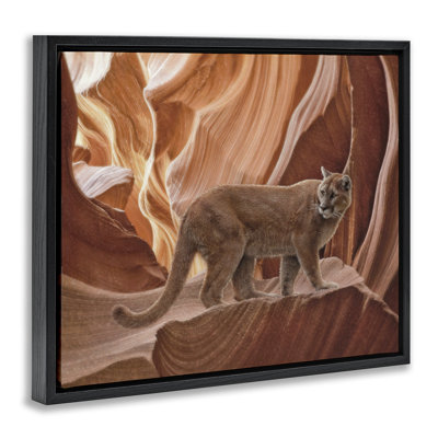 Cadre flottant Cougar Canyon View, design par Collin Bogle