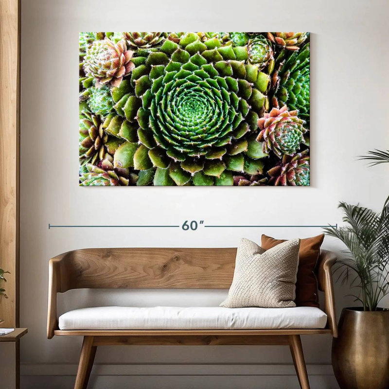 Harnek fleur comme plantes grasses, H 32 po x l 48 po