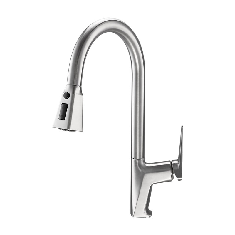Brayden Studio Kitchen Faucet, Silver