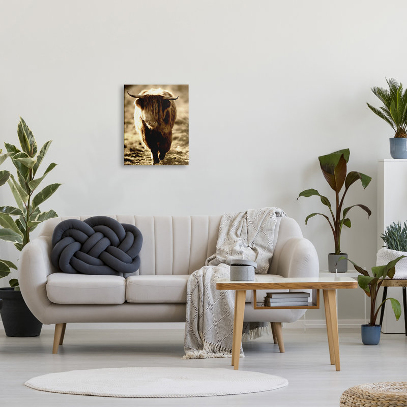 Sunlit Highland, Longhorn, bovin, campagne, campagne, Toile tendue, H 20 po x l 16 po x P 1,5 po