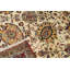 Wool Floral Area Rug in Cream