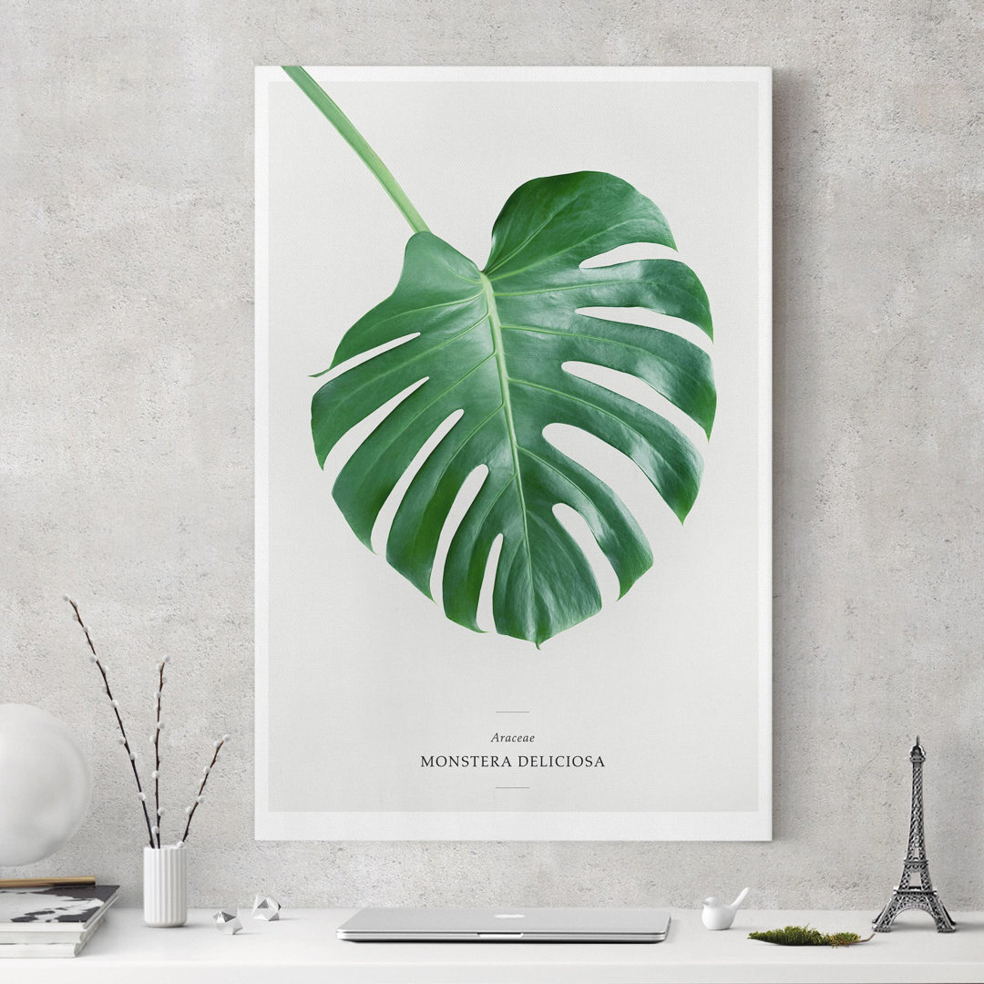 Leinwandbild Tropical Leaf Monstera