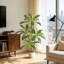 120 cm H Faux Plant