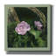 Art mural sur toile Epic Graffiti «Country Rose» par Art and a Little Magic-106171814