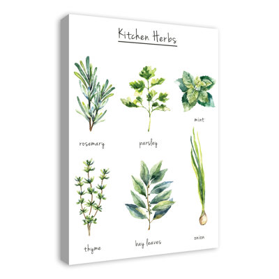 «Watercolor Kitchen Herbs», reproduction sur toile
