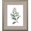 White Flowers S/4 Set by Giclee Studio