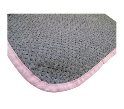 Armiah Indoor Rug