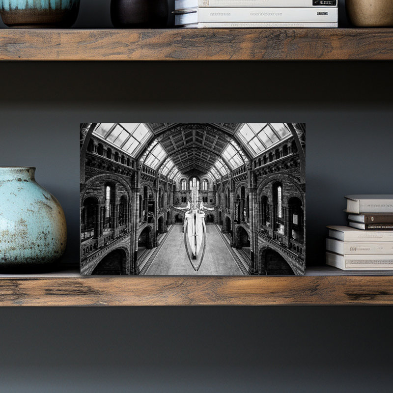 Grand Museum Whale Skeleton Classic Dramatic Gothic Whale Architecture Wall Art Print by Steven Zhou - Wrapped Canvas Print