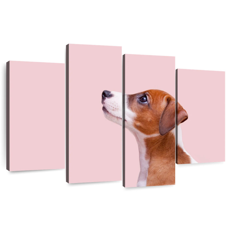 Brampt Jack Russel Dog, 42" H x 68" W