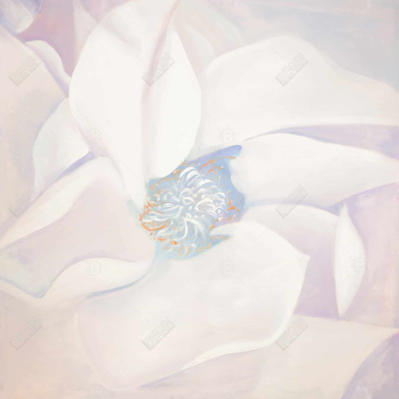 " Delicacy "