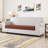 Dlerfeut Box Cushion Sofa Slipcover-1301961645-1214519852