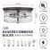 Flush Mount Ceiling Light with Clear Glass Shade