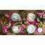 Assiettes décoratives Lenox British Colonial Tradewind, ensemble de 4