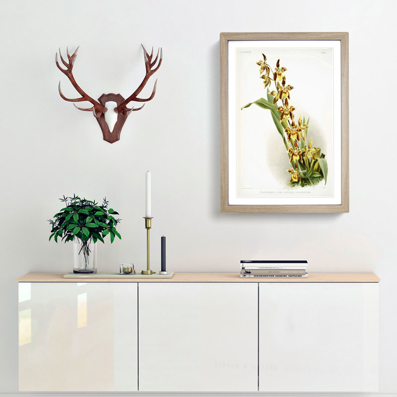 Magnolia Flowers Illustration Tab.84 by Frederick Sander - Picture Frame Art Print, 91cm H x 60cm W x 2cm D, Oak