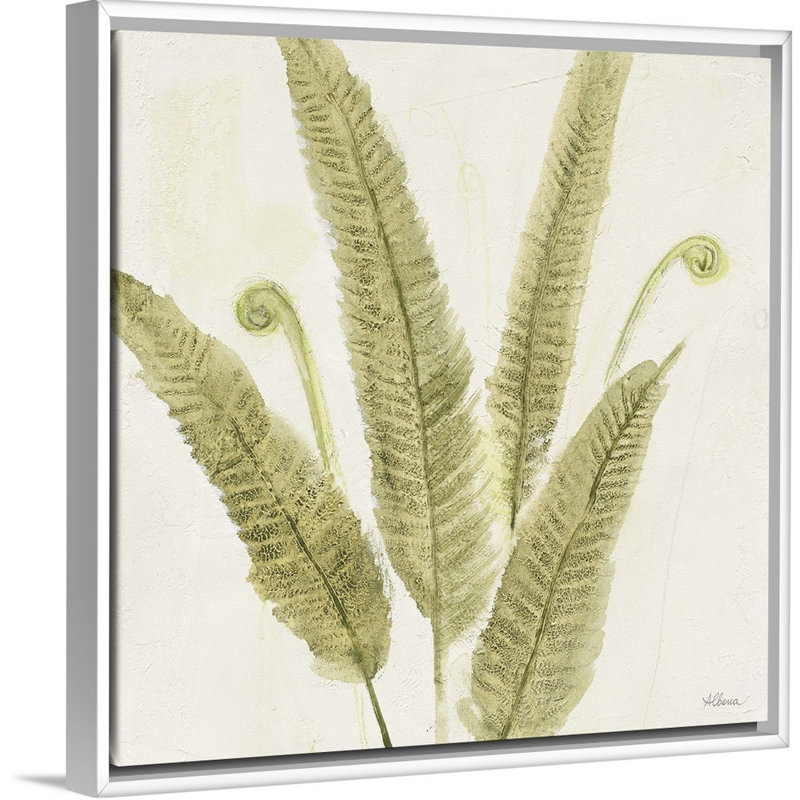 Forêt, fougères II, art mural, Toile avec cadre blanc, H 30 po x l 30 po x P 1,75 po
