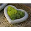 Heart Planter-13938660-13938664