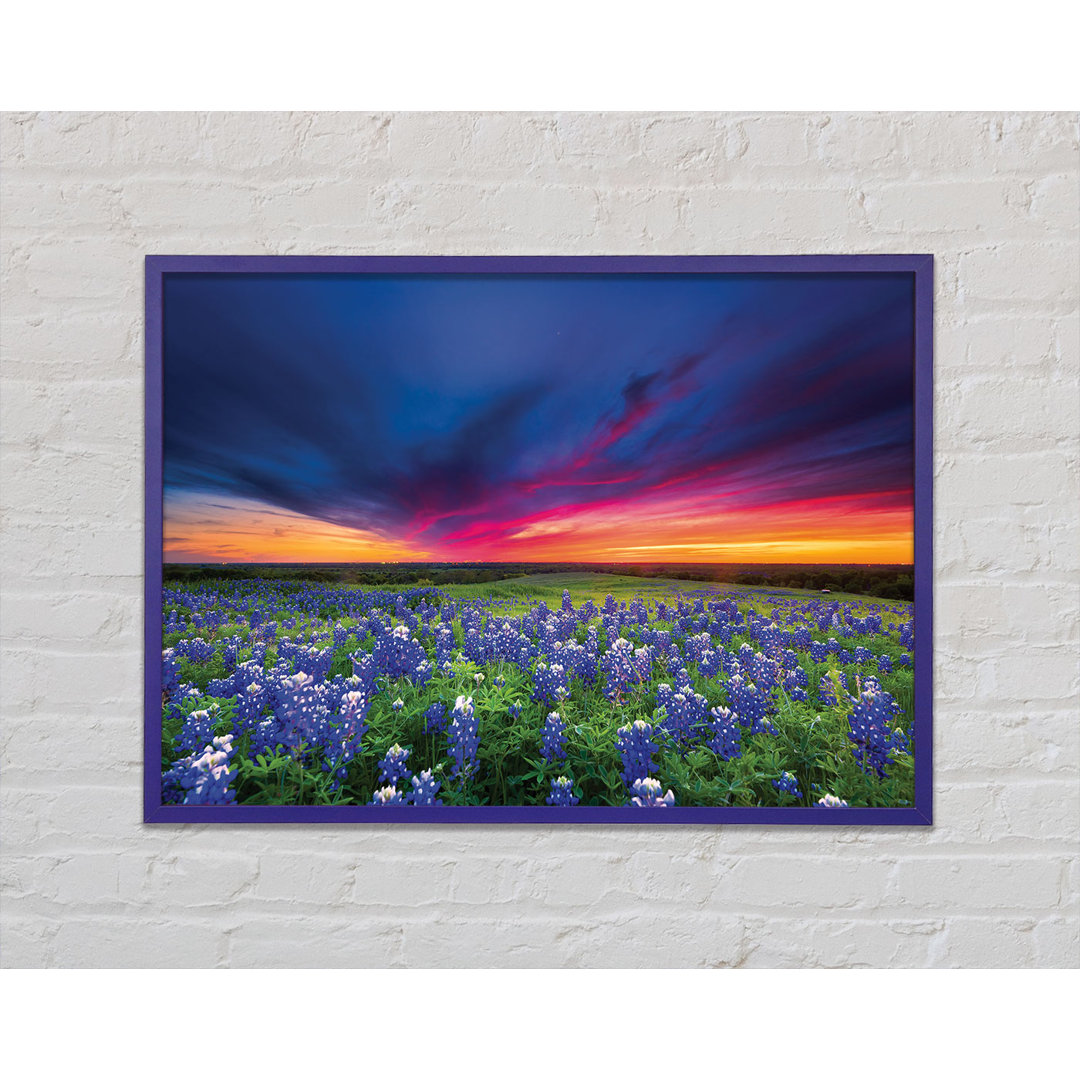 Vibrant Skies Above Blue Flowers - Einzelner Bilderrahmen Kunstdrucke