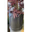 Hoye Fiberglass Planter