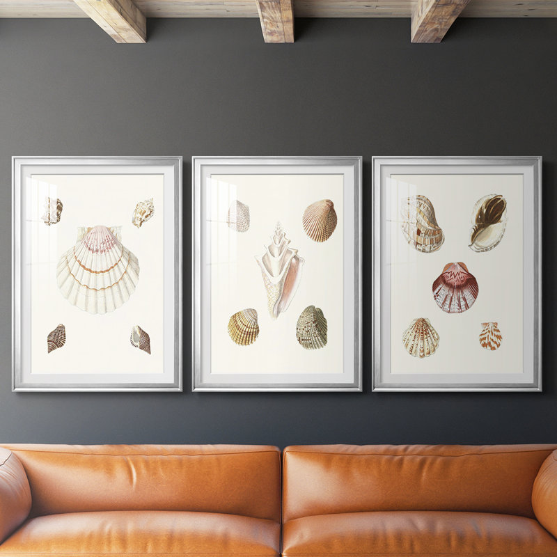 Pastel Knorr Shells IV - impression encadrée sur mesure de qualité supérieure - 3 pièces