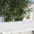 Aluminum Pergola with Canopy-96861869-97242562