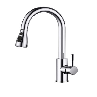 Brayden Studio Caide Kitchen Faucet
