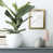 Gold Framed Paper