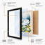 Swan Among Blossoms Botanical - Framed Print-88254567-88254564