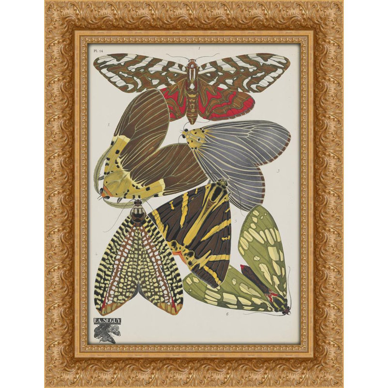 Papillons Pl.14 (1920)