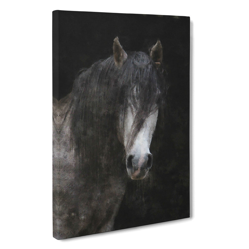 Face Of A Horse - Wrapped Canvas, 50cm H x 35cm W x 3cm D