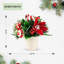 Arrangement de Noël à la menthe poivrée