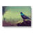 Mysterious Pigeon Bird - Wrapped Canvas Print