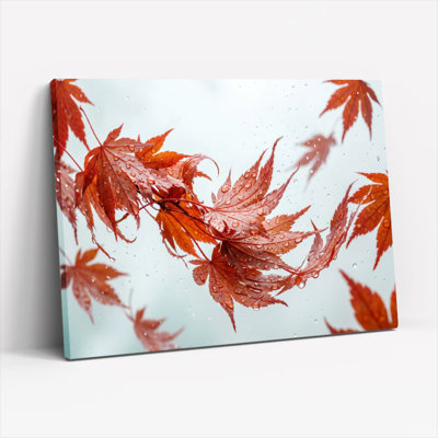 Ensemble de 1 tableau sur toile « Feuilles d'automne »