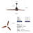 Ceiling Fans With Lights-444852505-444852519-444852512
