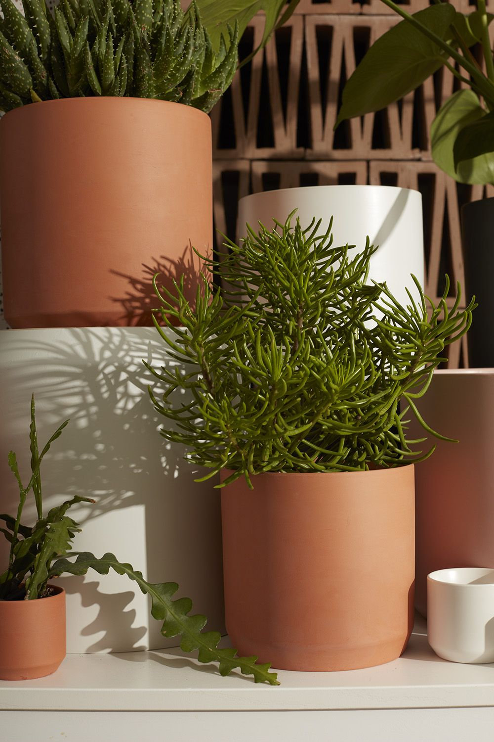 Parsons Ceramic Pot Planter, 6.75" H x 7" W x 7" D, Terracotta