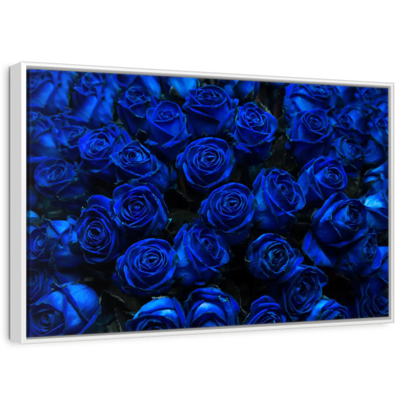 Roses bleues royales, Cadre flottant blanc, 40 po x 27 po