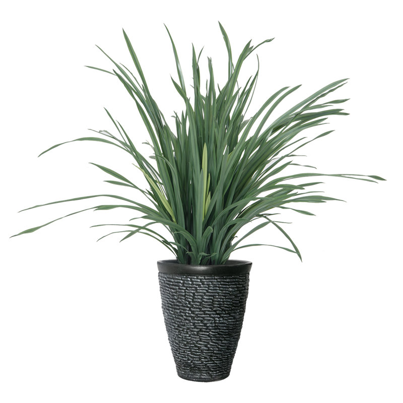 46 po citronnelle artificielle en pot