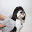 Chatière en microfibre Perro & Gato-78370613-78370614
