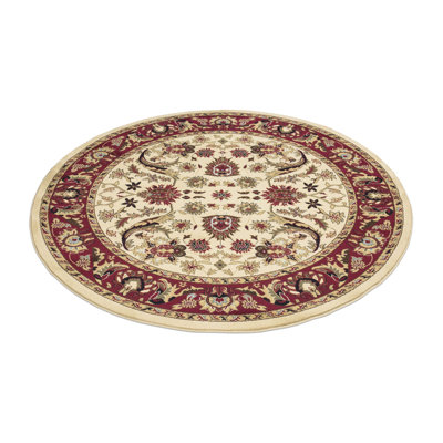 Bitner Oriental Indoor Rug