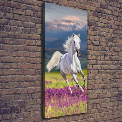 White Horse In Gallop - Wrapped Canvas Print