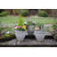 Birnam Floral Sandstone Effect Plant Pots