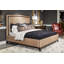 Carrington Upholstered Platform Bed-69554013