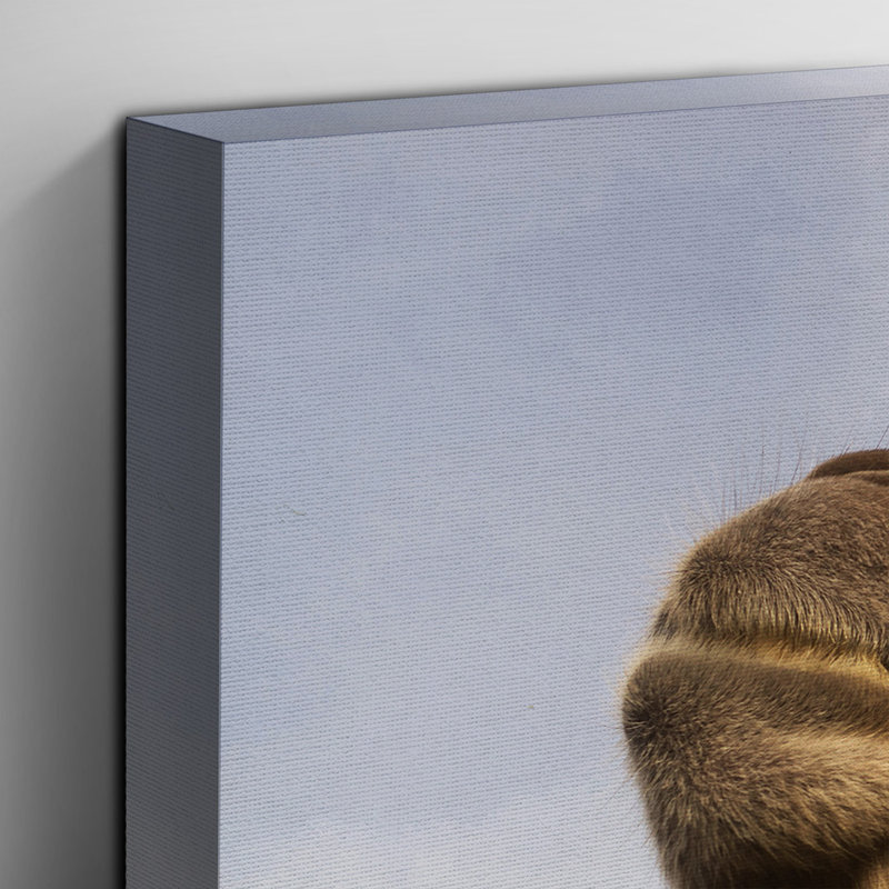 Camel Photographic - Wrapped Canvas, 50cm H x 76cm W