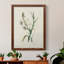 Toile encadrée de qualité supérieure Traditional Botanical IV - prête à être accrochée-1678227290-1678227293